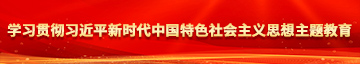 操肥美女学习贯彻习近平新时代中国特色社会主义思想主题教育